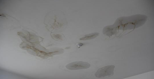 罕见严重漏水 专家教如何防水应对